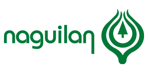 naguilan